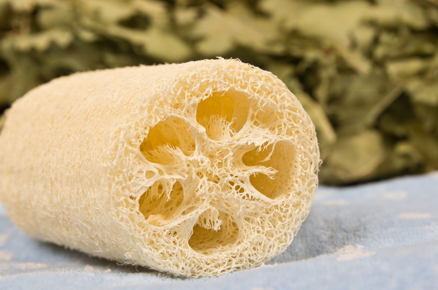 Natural sea sponge and luffa for bath and shower to wash face and body  softly