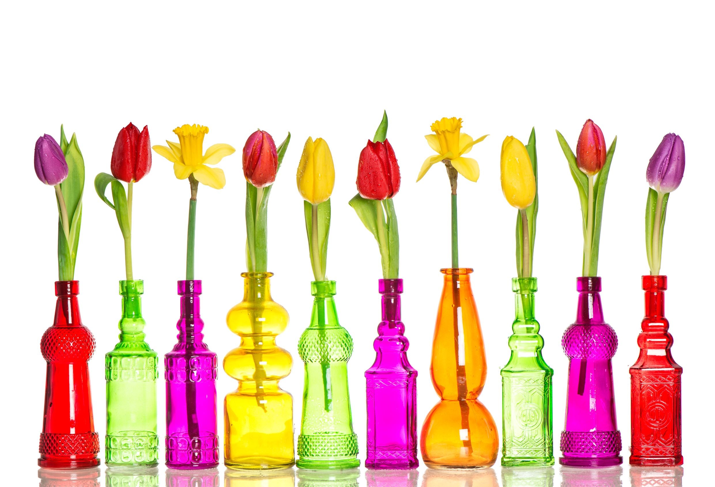 SPRING Collection