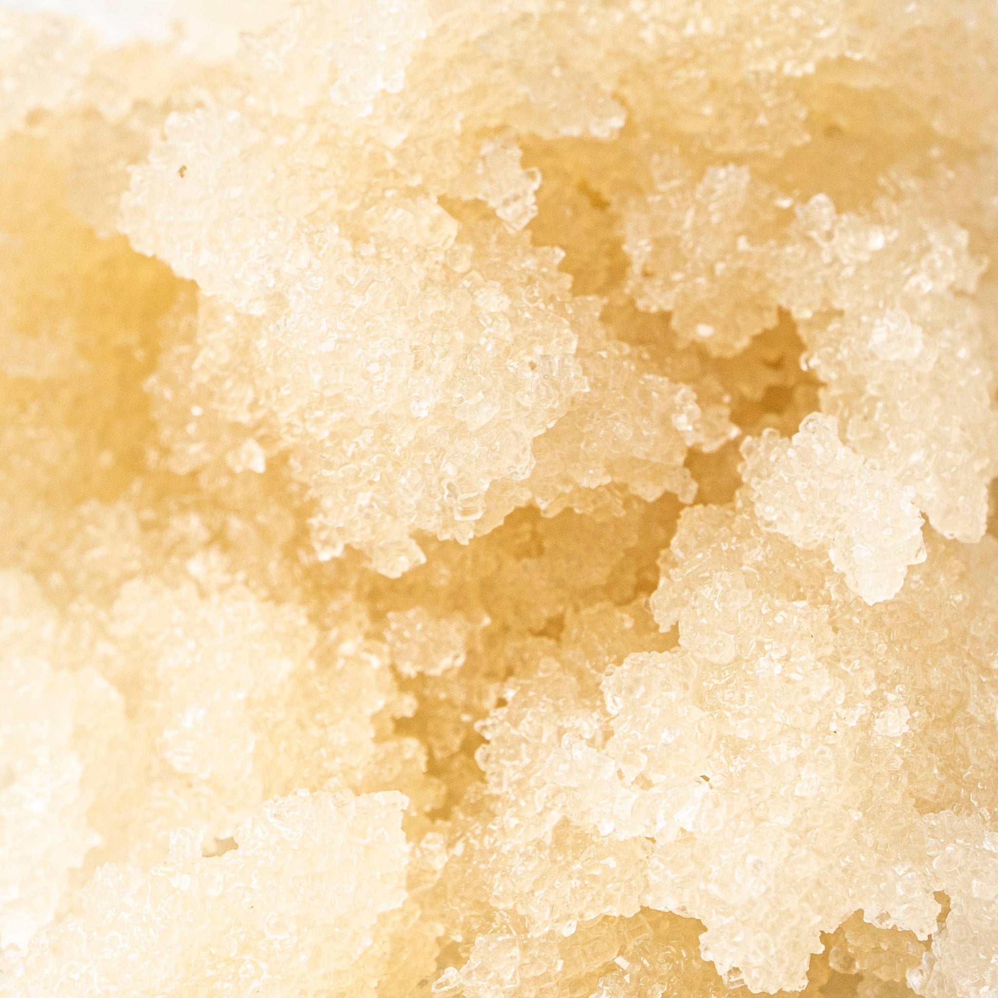 Organic Coconut Oil Sugar Scrub - MANDARIN FIG
