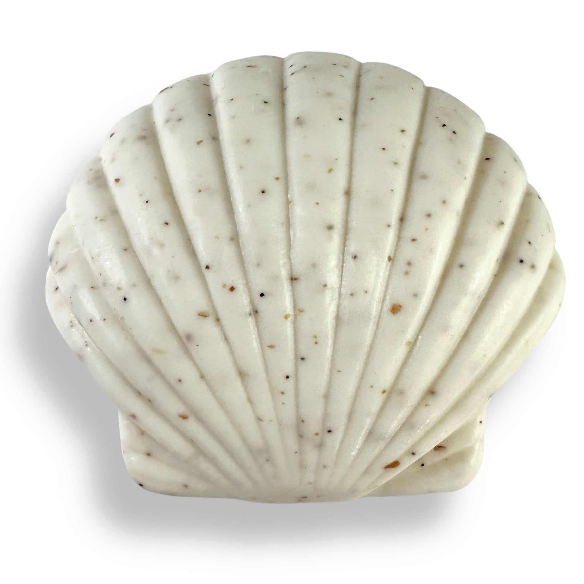 SEA SHELL Soaps - Greenwich Bay Trading Company