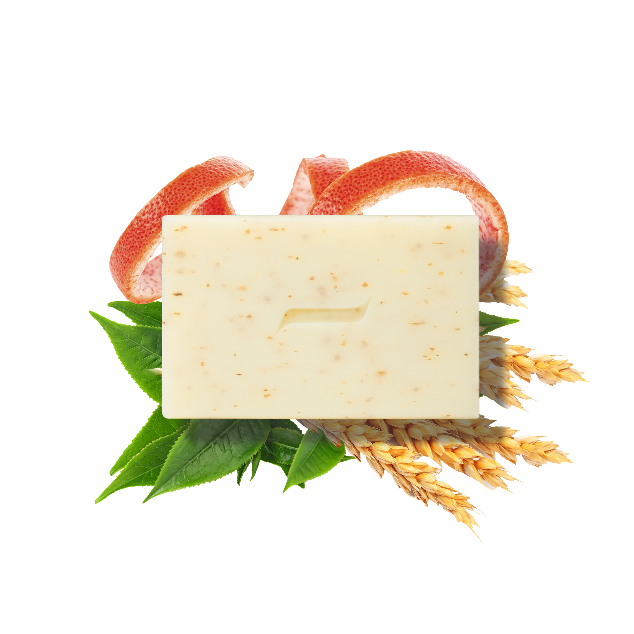 BODY SCRUB Bar