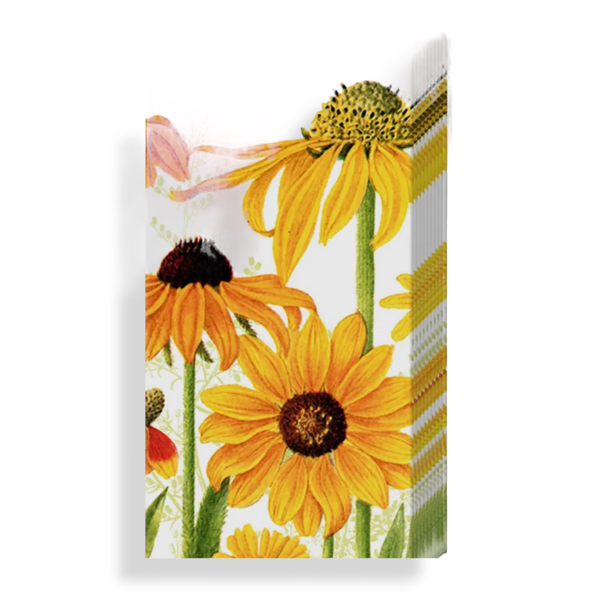 POCKET TISSUES Pack of 10