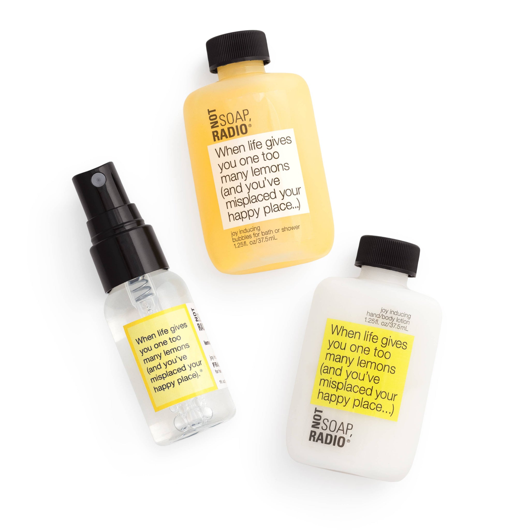 When life gives you one too many lemons MINI SET