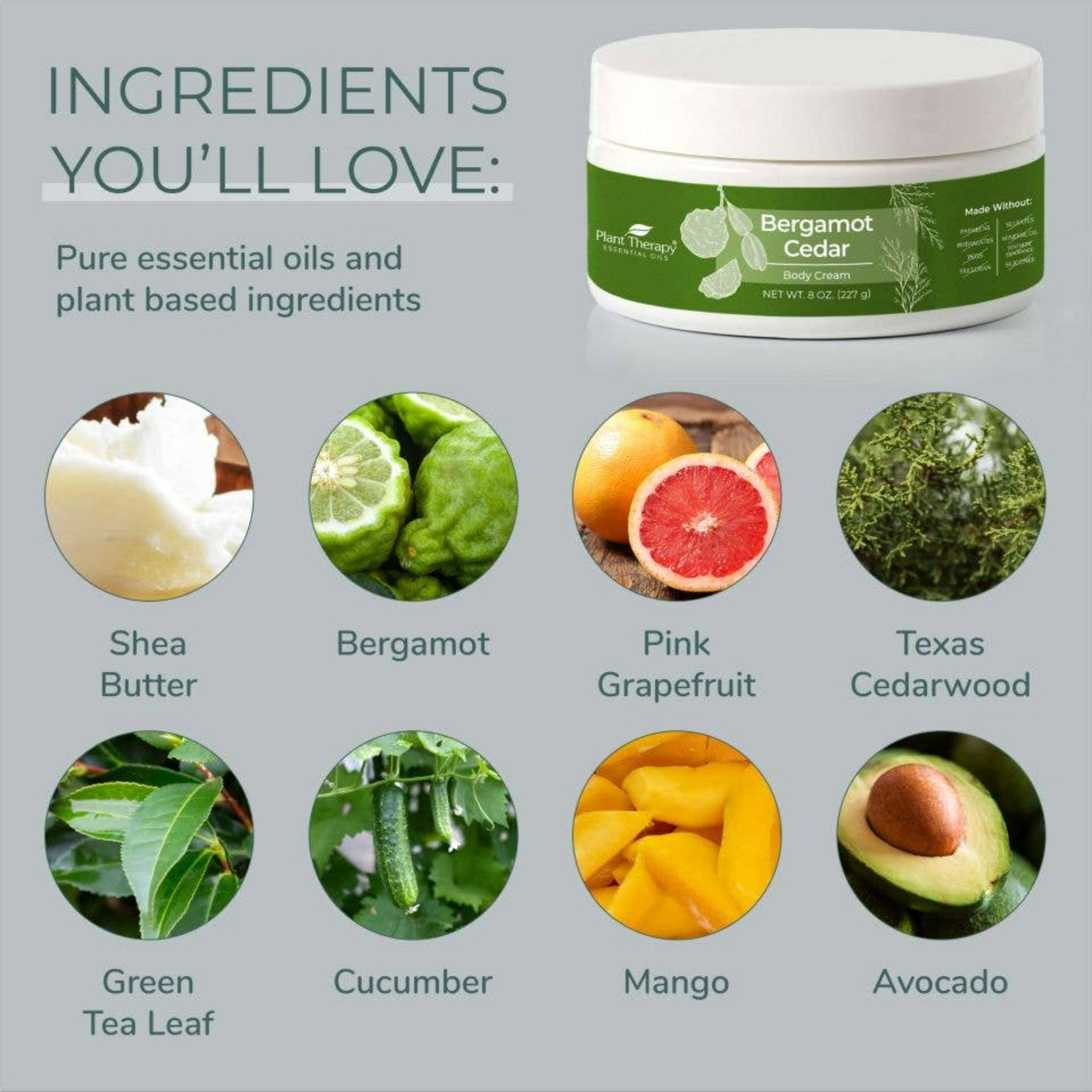 Plant Therapy - Bergamot Cedar Body Cream