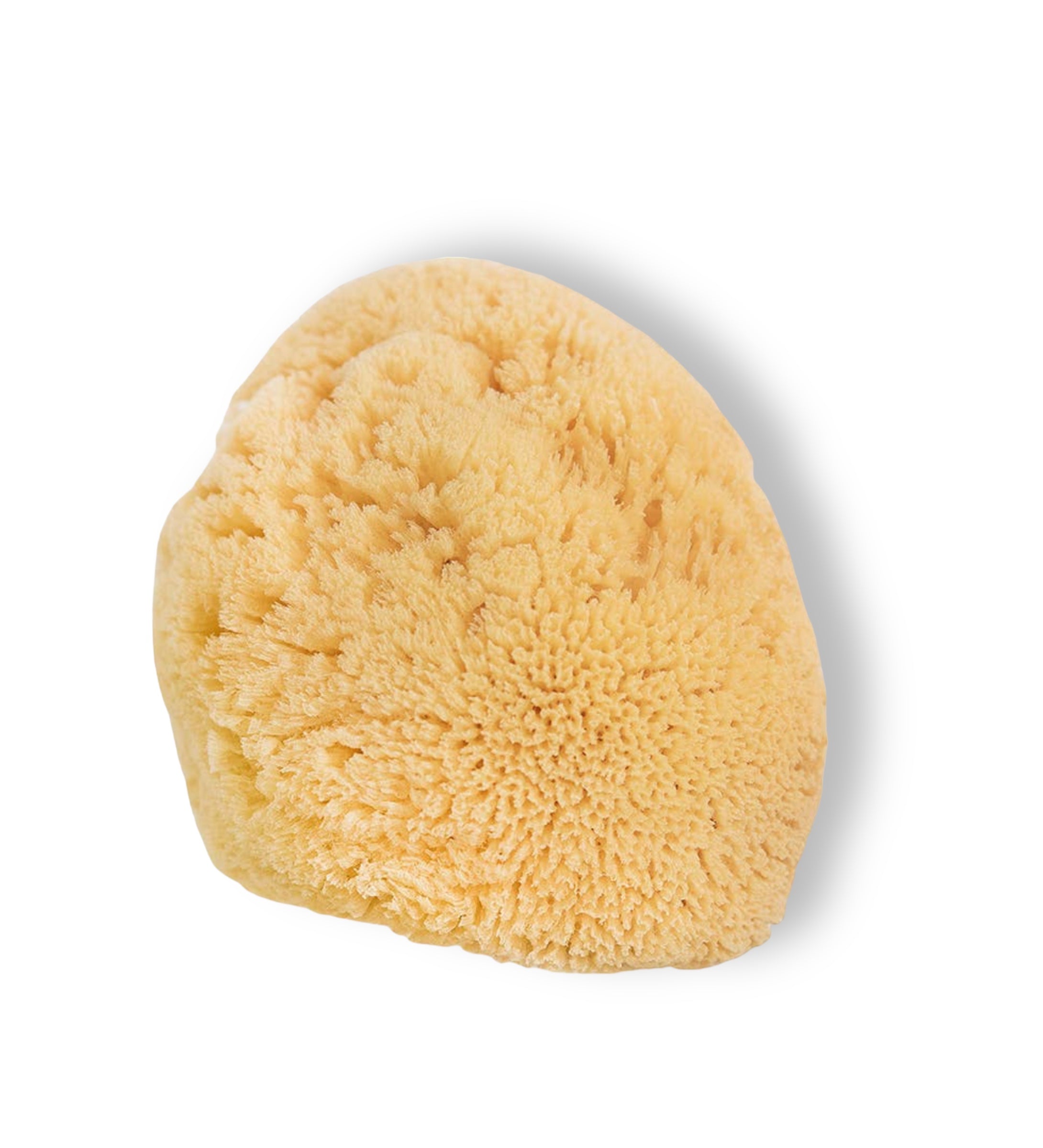Spa Sister Natural Sea Sponge for Bath and Shower Medium 4"-5"