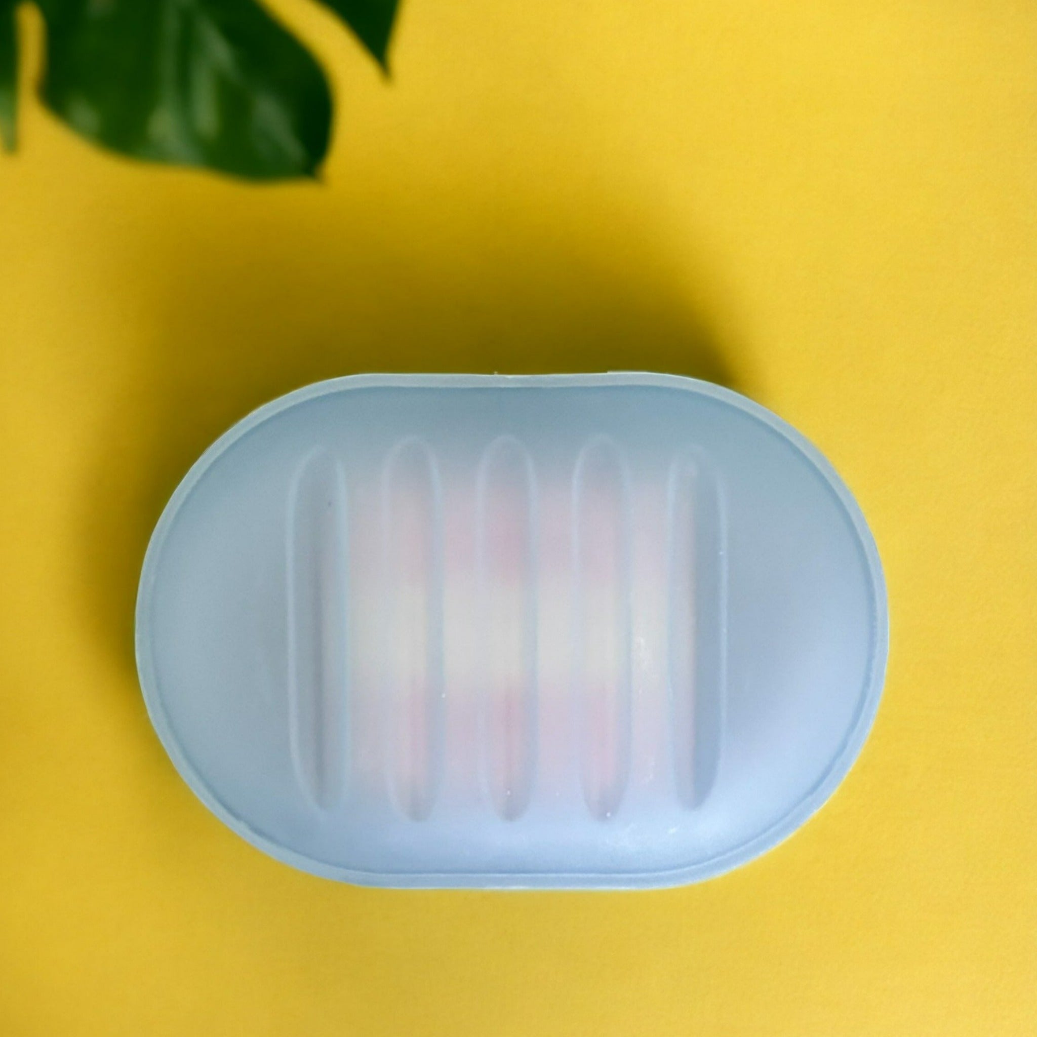 Spa Sister Frosted Travel Soap Dish Case