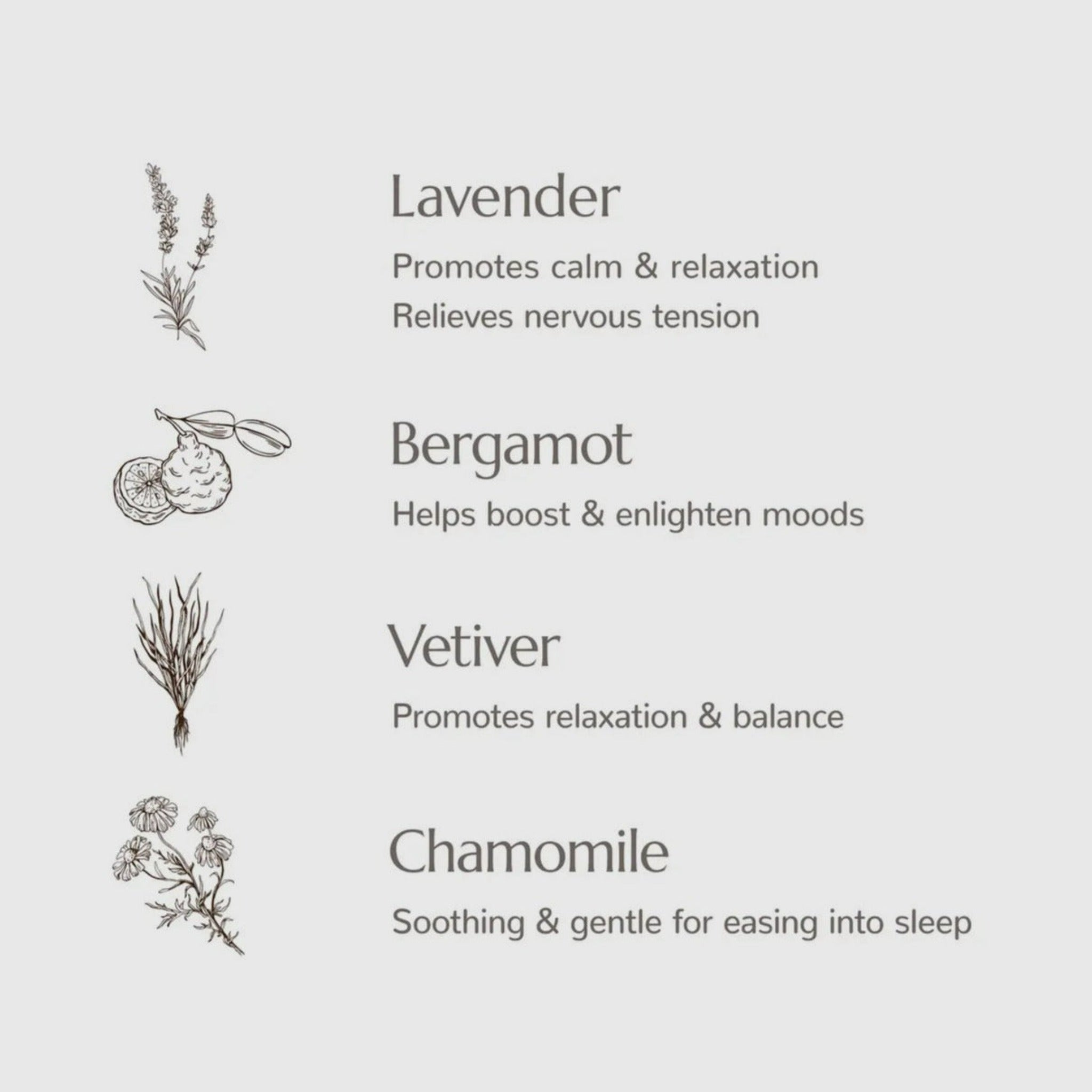 Blissful Dreams Lavender PILLOW SPRAY Plant Therapy