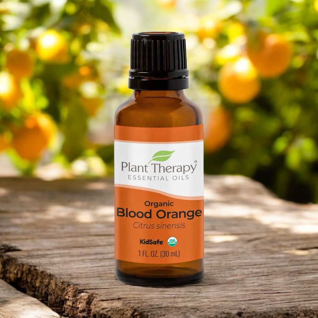 Aromatherapy Essential Oil BLOOD ORANGE - Plant Therapy