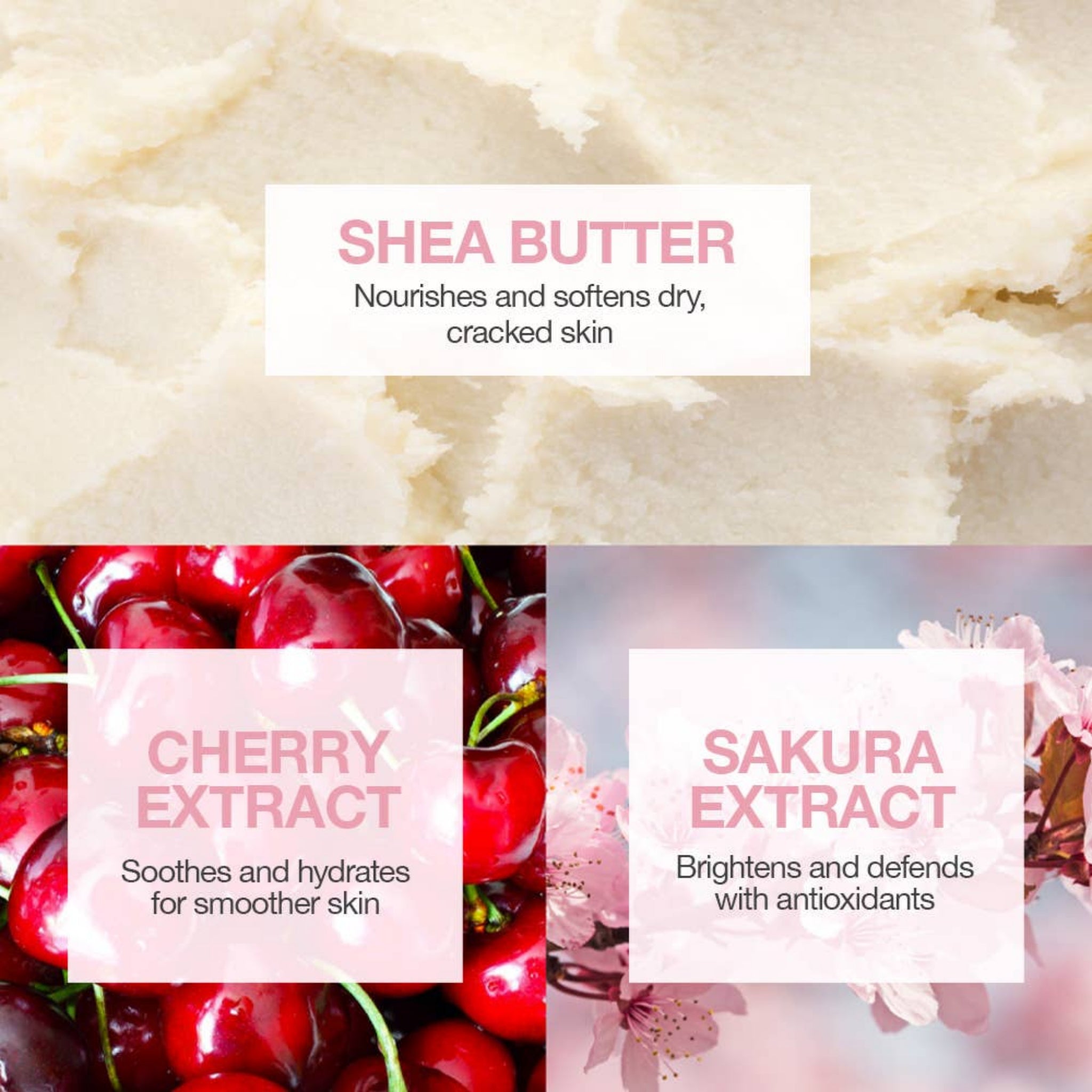 Shea butter, cherry extract, and sakura extract with text labels on a light background.