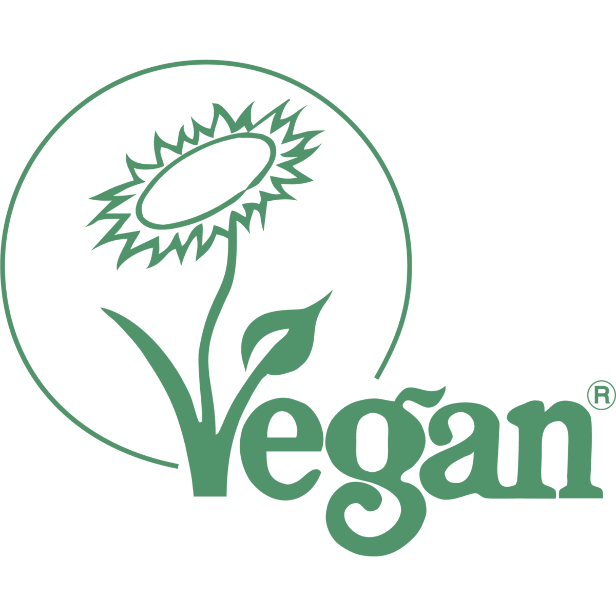 Vegan logo with sunflower and leaves on a black background