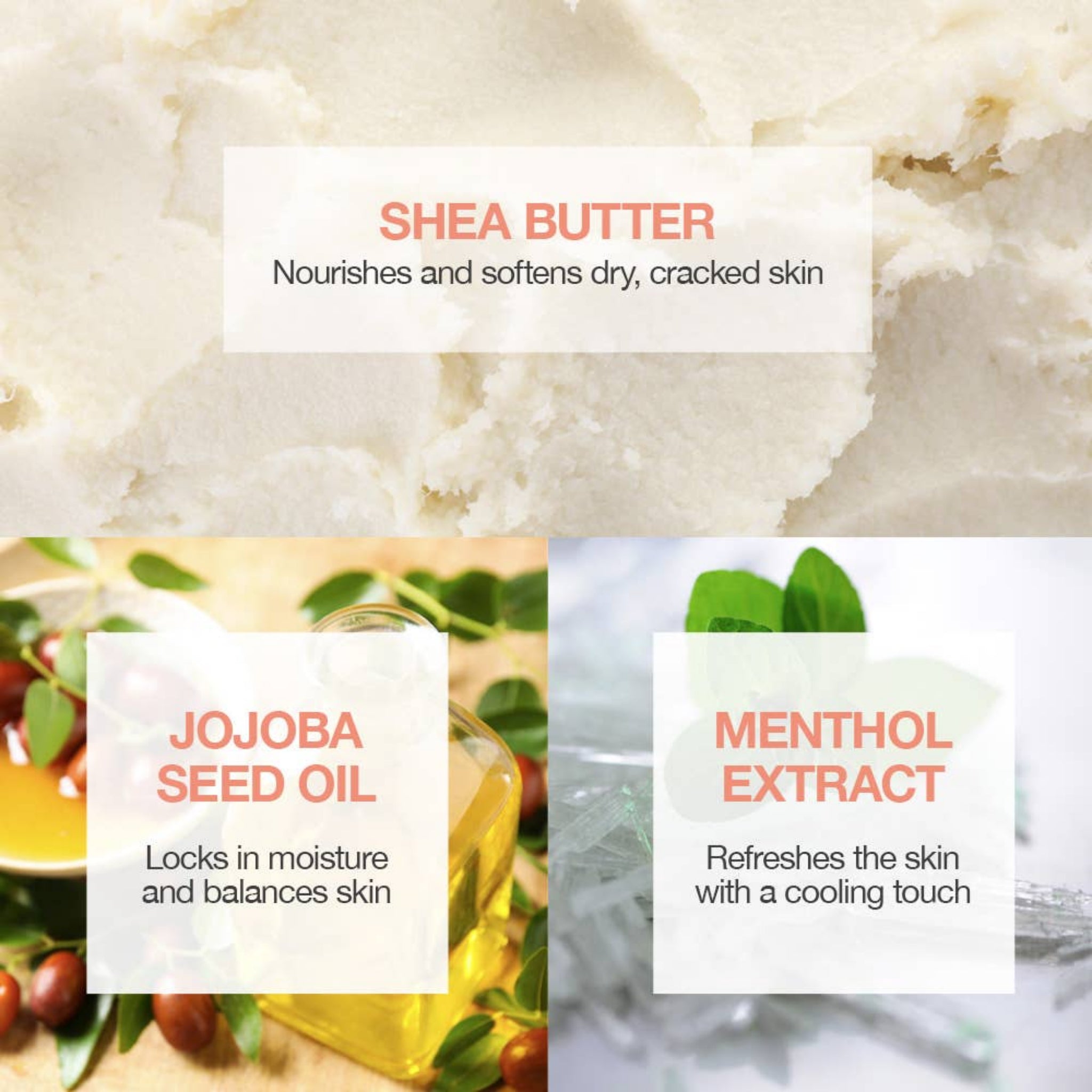 Shea butter, jojoba seed oil, and menthol extract with text describing their benefits.