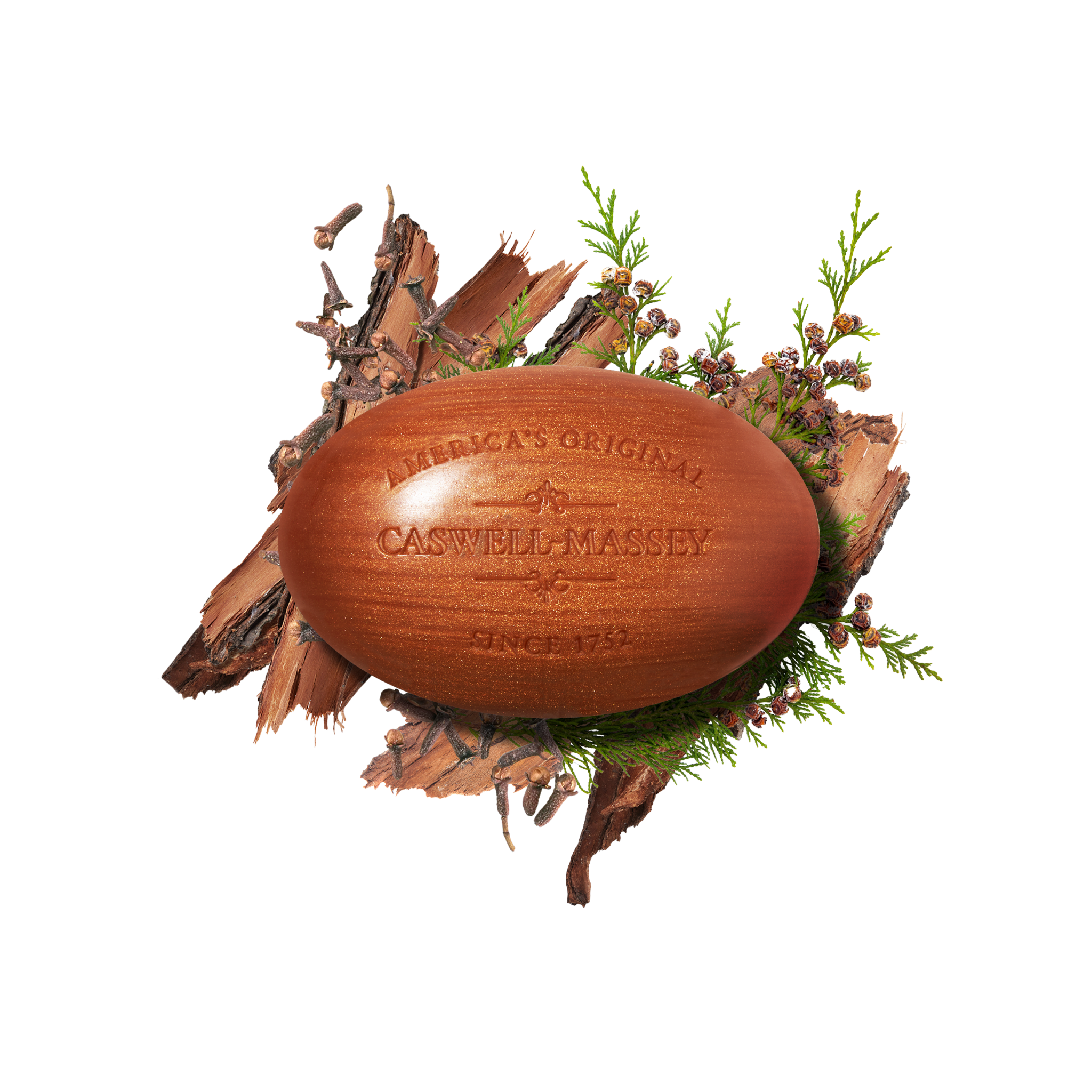 WOODGRAIN Bar Soap
