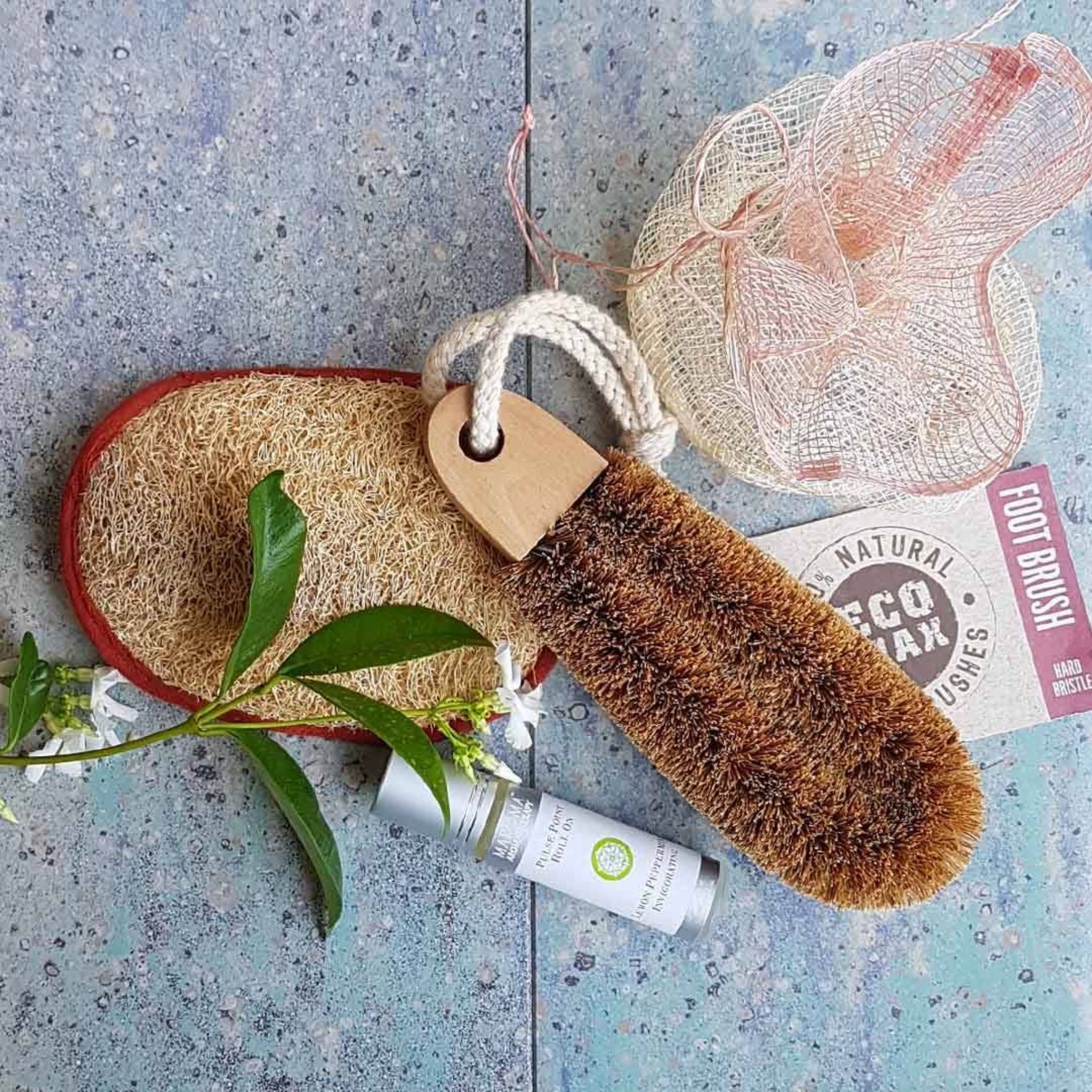 Foot Brush w/Hard Bristles