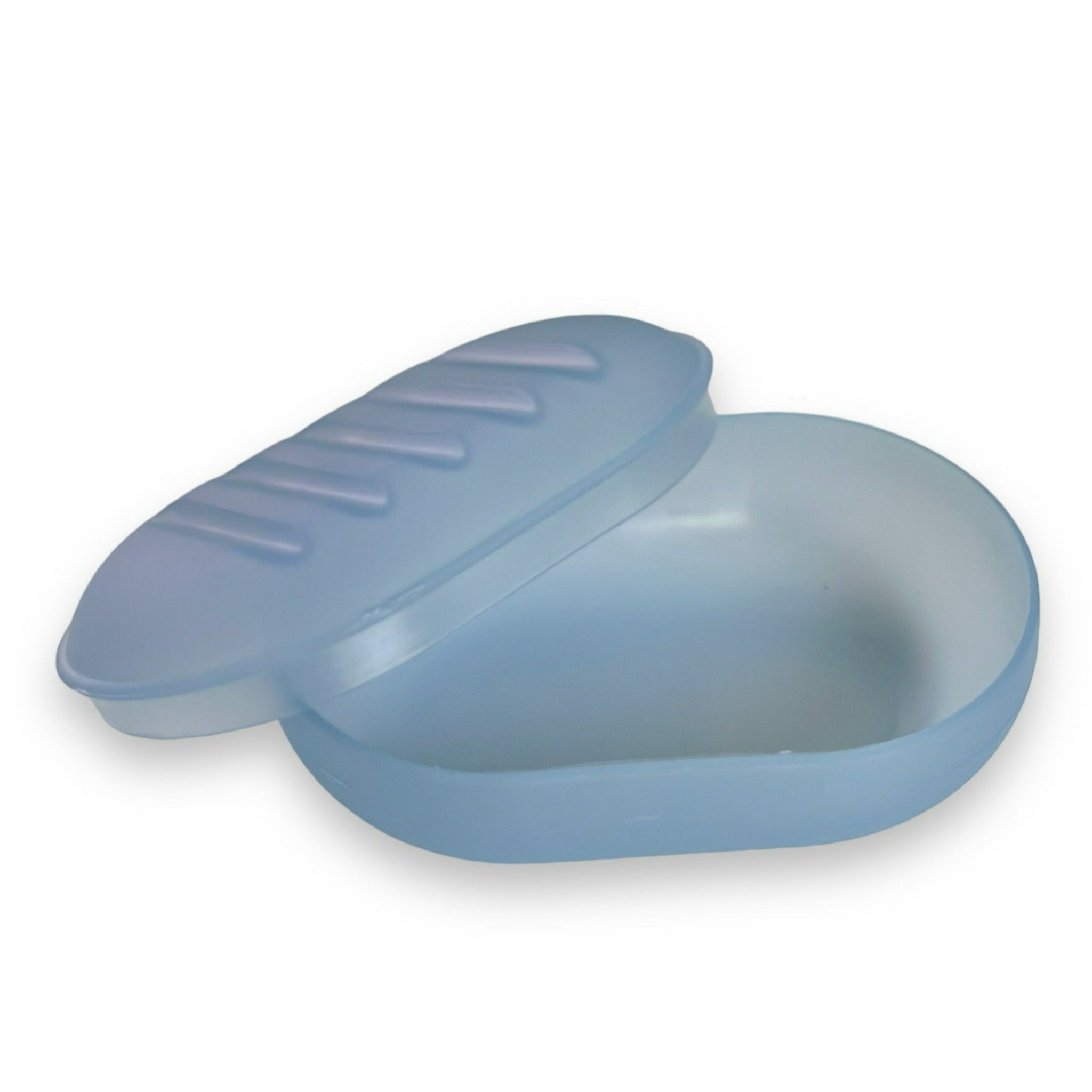 Spa Sister Frosted Travel Soap Dish Case